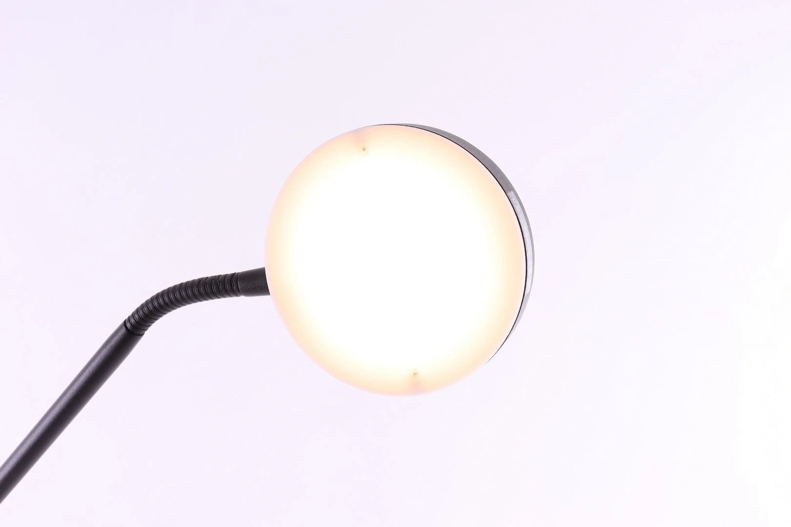 Staande Leeslamp Zwart | LED 10W Dim-to-Warm Dimbaar | 135cm 42001