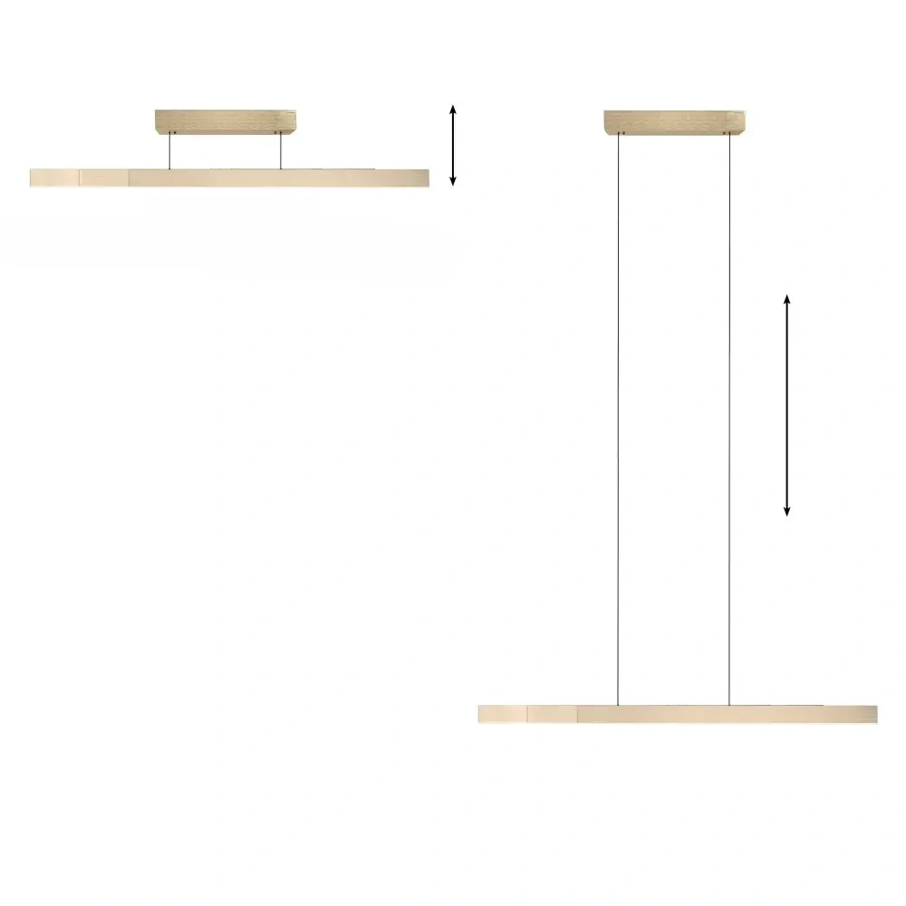Hanglamp easy Lift + e-Slide L 120-200 cm Mat Goud 45826