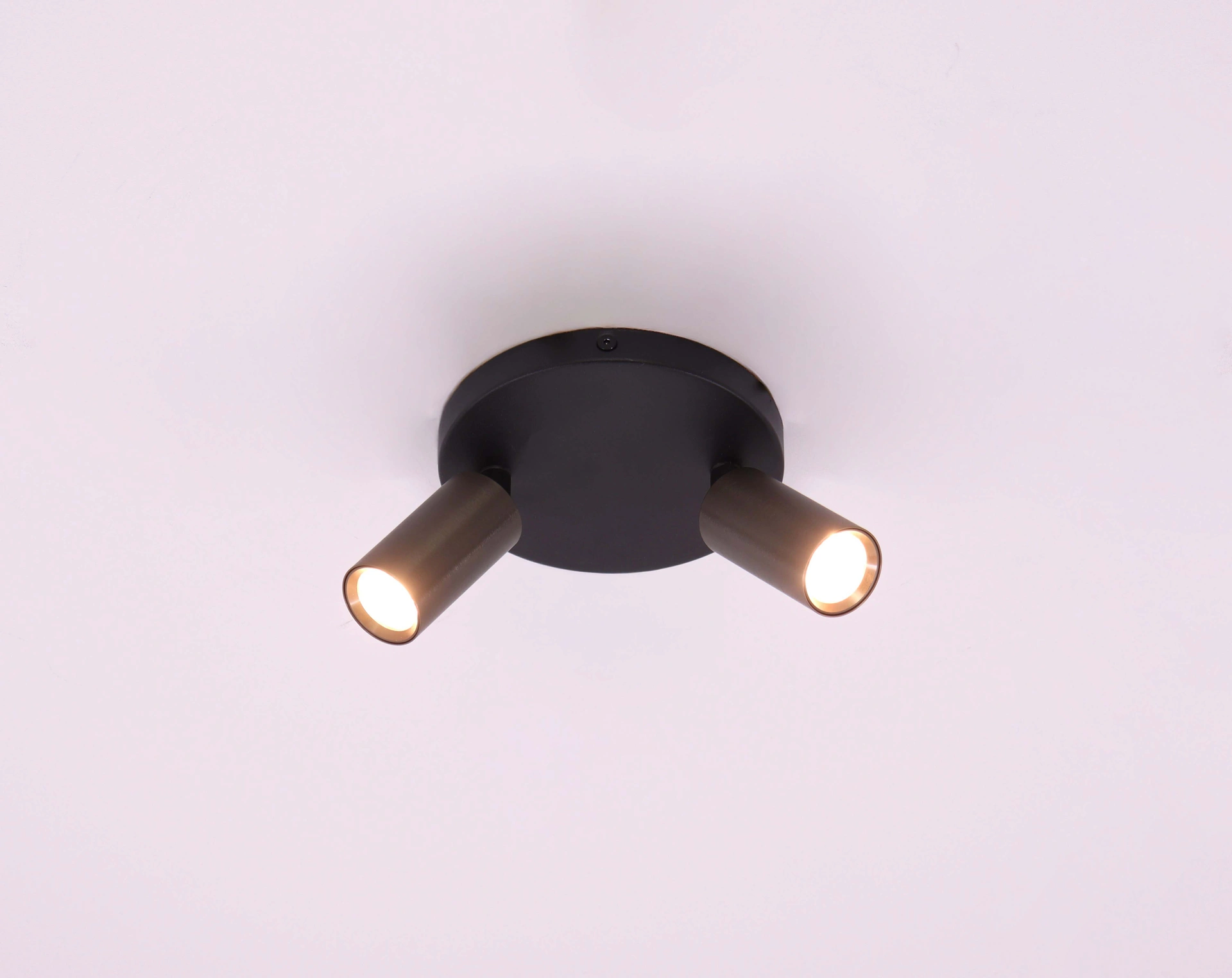 Opbouwspot 2 lichts - Koffie kleur - Rond diameter 15cm  45972