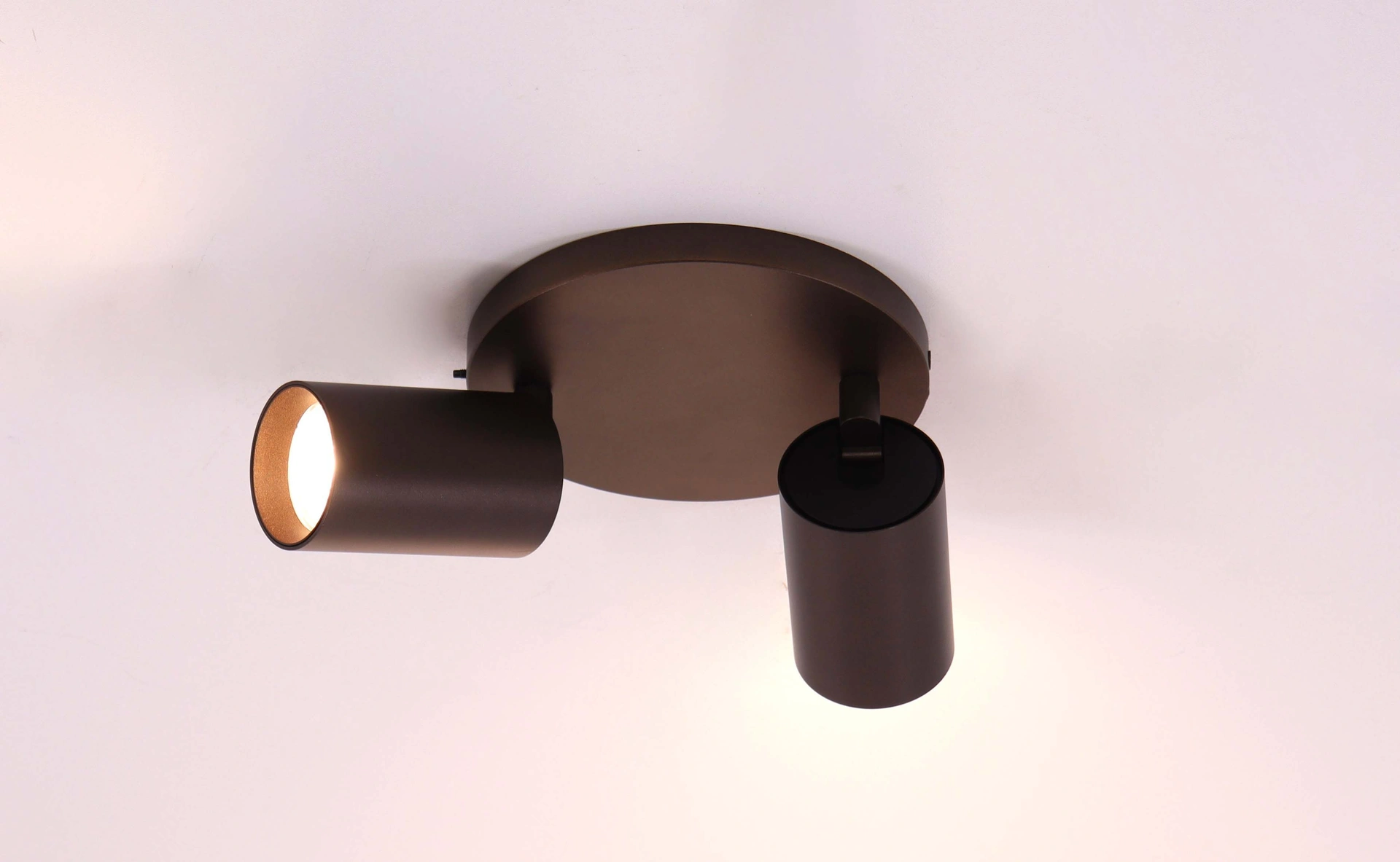 Opbouwspot 2lichts | Cacao | Dia. 17cm 46218