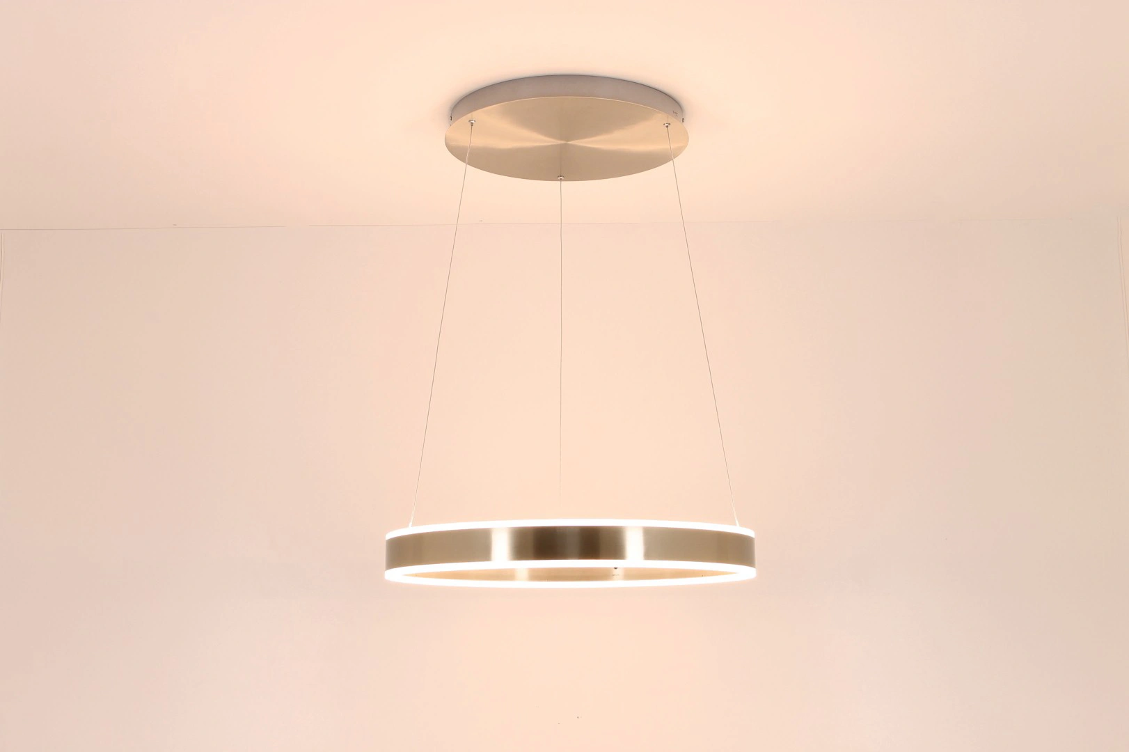 Hanglamp LED cirkel rvs 60cm 41531