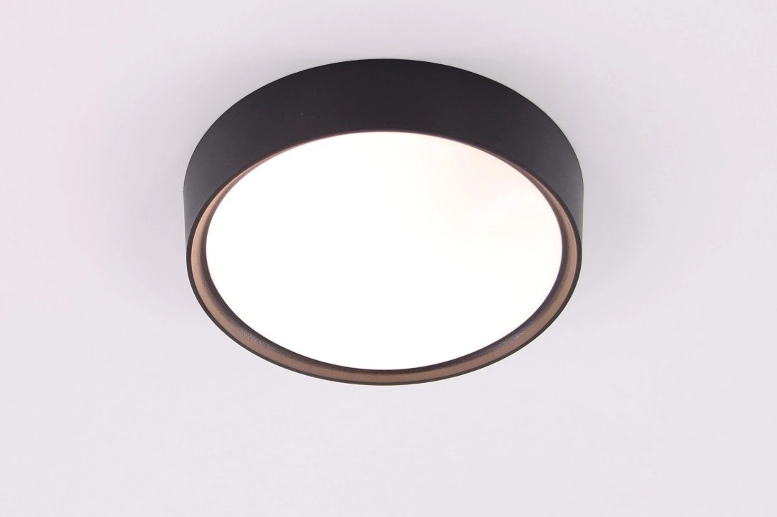Plafondlamp rond zwart 25,5cm 40611